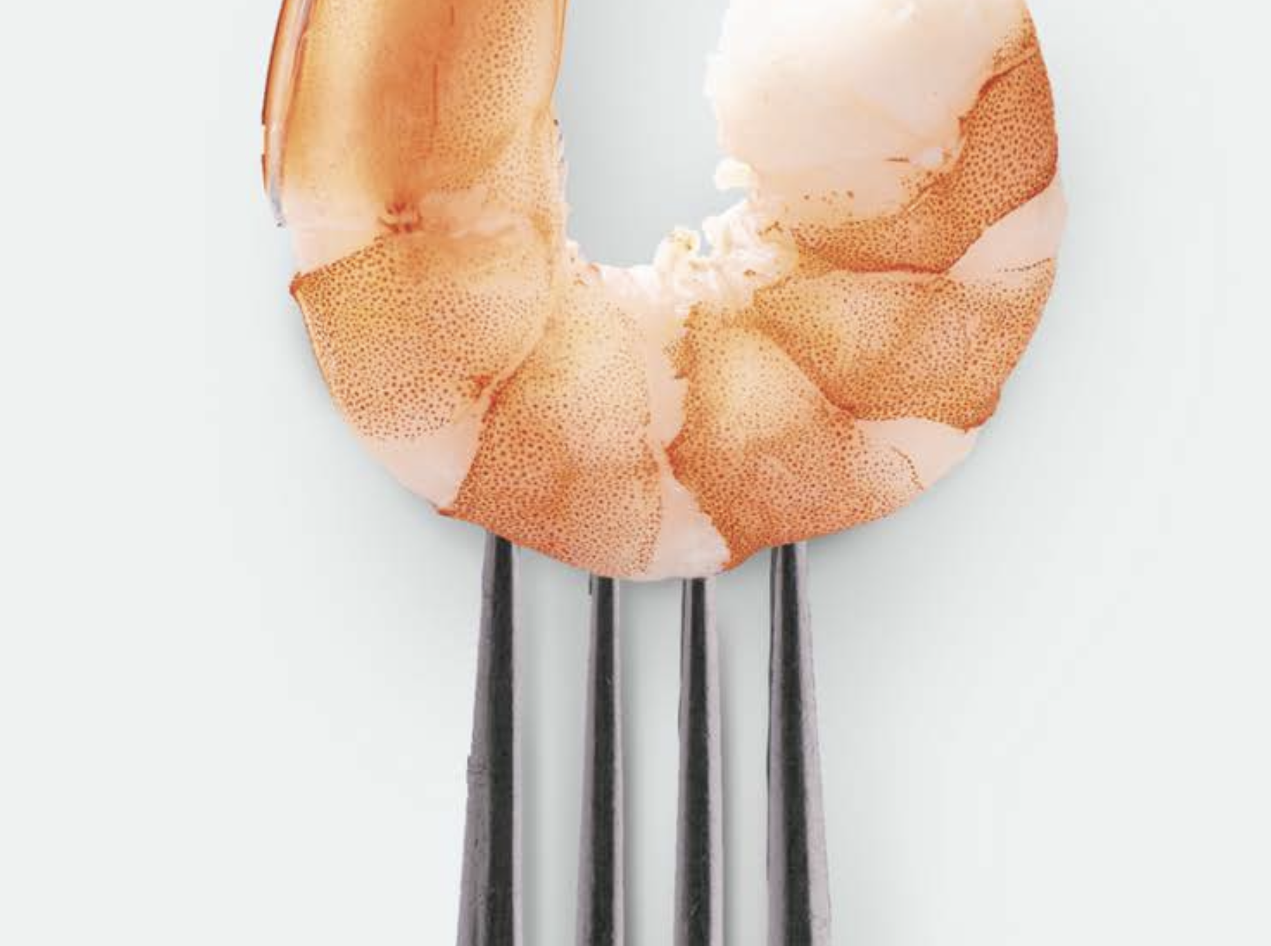 Shrimp Nutrition Guide